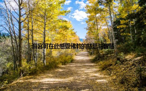 游客可在此感受佛教的慈悲与智慧