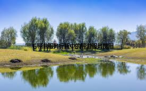 6导游服务行程中的导游服务费用