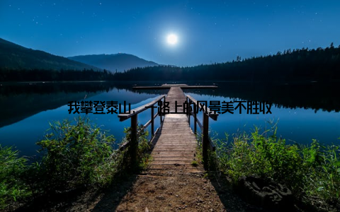 我攀登泰山, 一路上的风景美不胜收
