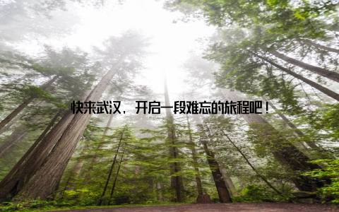 快来武汉, 开启一段难忘的旅程吧!