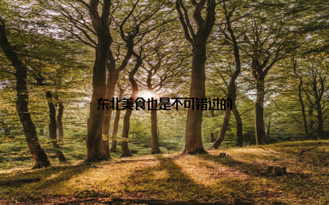 东北美食也是不可错过的