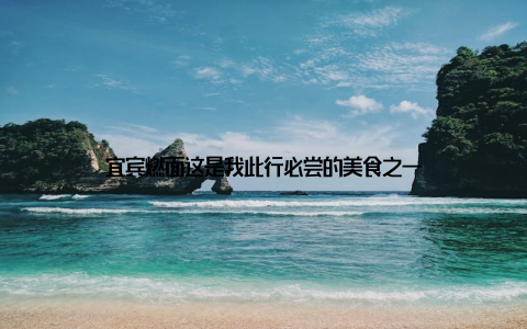 宜宾燃面这是我此行必尝的美食之一