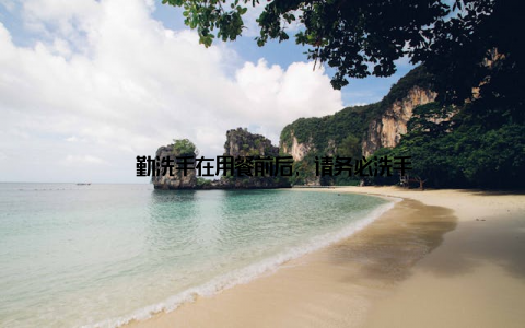 – 勤洗手在用餐前后, 请务必洗手