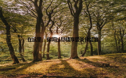 在这里, 你可以尽情享受美食盛宴