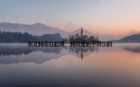 东北炖菜在松原, 炖菜是必不可少的