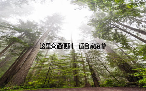 这里交通便利, 适合家庭游