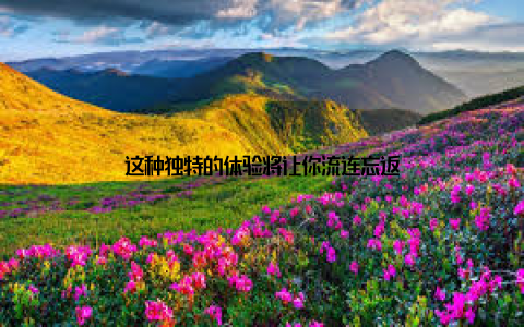 这种独特的体验将让你流连忘返