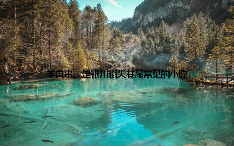 羊肉串, 是银川街头巷尾常见的小吃
