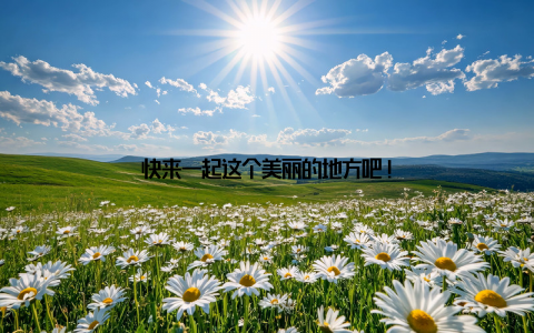 快来一起这个美丽的地方吧!