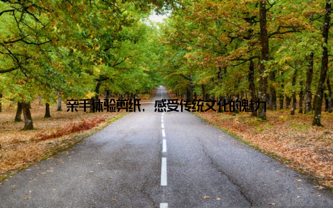 亲手体验剪纸, 感受传统文化的魅力