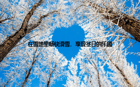 在雪地里畅快滑雪, 享受冬日的乐趣