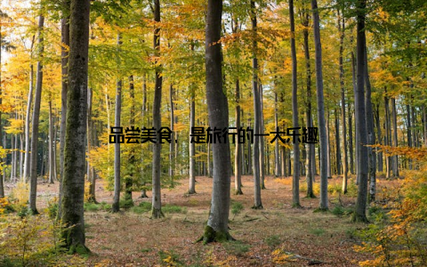 品尝美食, 是旅行的一大乐趣