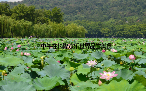 – 中午在长隆欢乐世界品尝美食