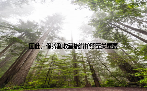 因此, 保养和收藏旅游护照至关重要