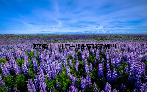 快来佛山, 开启一段难忘的旅程吧!