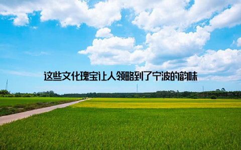 这些文化瑰宝让人领略到了宁波的韵味