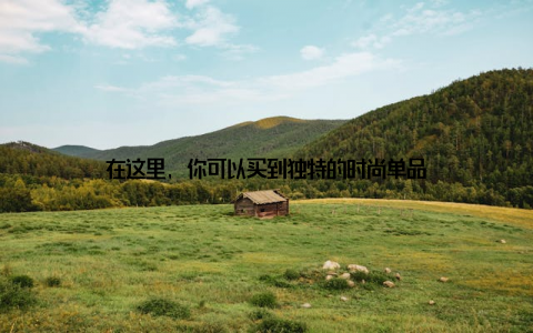 在这里, 你可以买到独特的时尚单品
