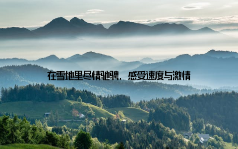 在雪地里尽情驰骋, 感受速度与激情