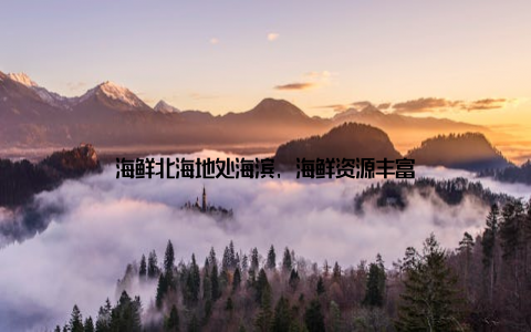海鲜北海地处海滨, 海鲜资源丰富