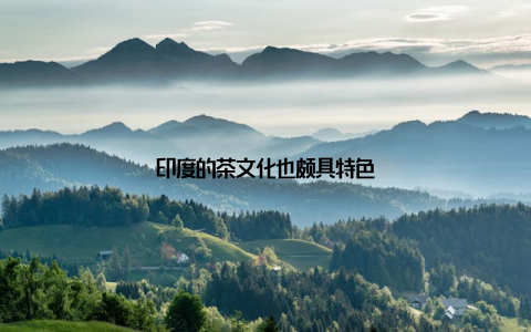 印度的茶文化也颇具特色