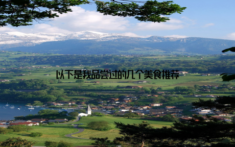 以下是我品尝过的几个美食推荐