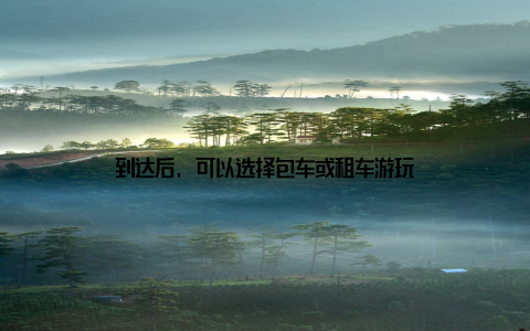 到达后, 可以选择包车或租车游玩