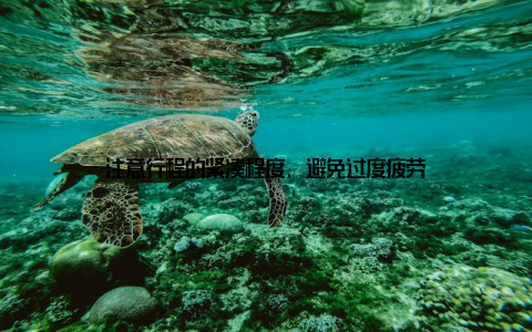 注意行程的紧凑程度, 避免过度疲劳