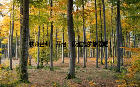 快来台州, 开启一段难忘的旅程吧!