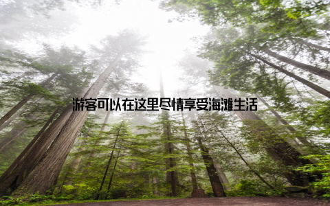 游客可以在这里尽情享受海滩生活