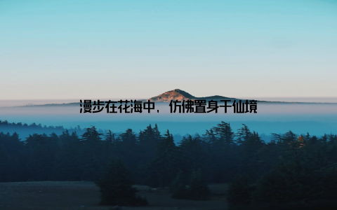 漫步在花海中, 仿佛置身于仙境