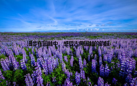 漫步在园林中, 感受古典园林的韵味