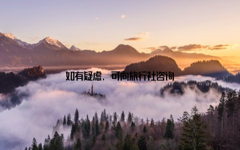 如有疑虑, 可向旅行社咨询