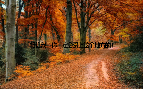 相信我, 你一定会爱上这个地方的!