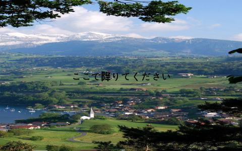 ここで降りてください