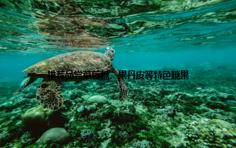 推荐品尝草莓糖、果丹皮等特色糖果