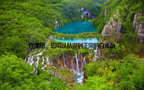 在溧阳, 您可以品尝到正宗的白水鱼