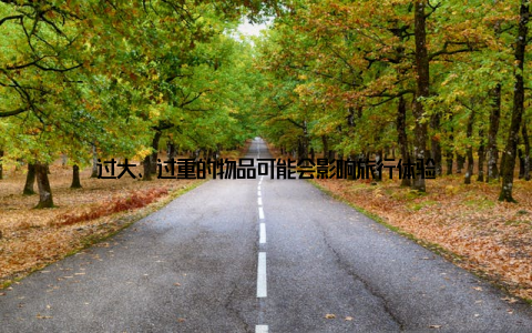 过大、过重的物品可能会影响旅行体验