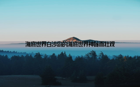 海底世界白沙岛的海底世界神秘而壮观