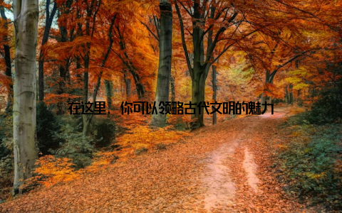 在这里, 你可以领略古代文明的魅力