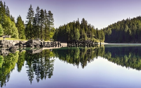 胡志明市, 期待你的到来!