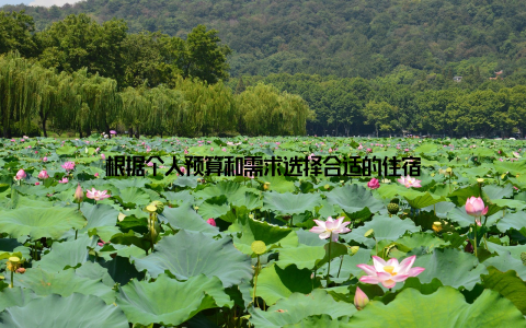 根据个人预算和需求选择合适的住宿