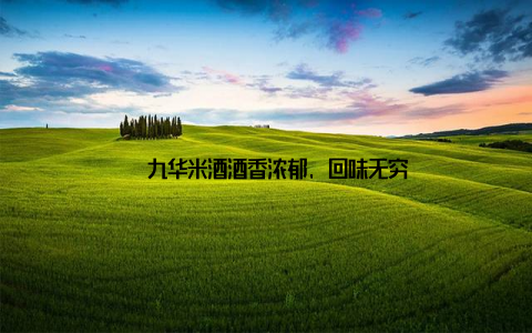 – 九华米酒酒香浓郁, 回味无穷