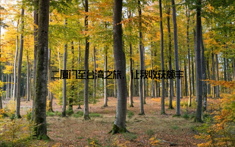 二厦门至台湾之旅, 让我收获颇丰