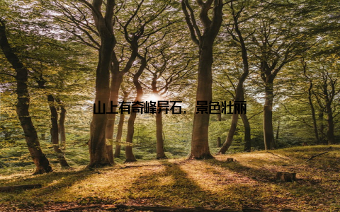 山上有奇峰异石, 景色壮丽